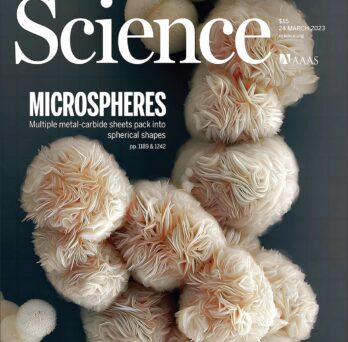 COver of Science Magazine
                  